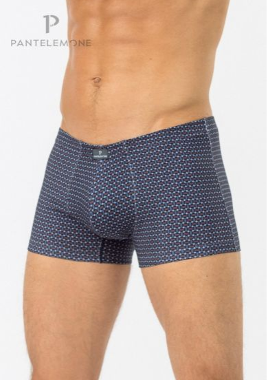 Трусы муж (АРТ. PMHB-1314)