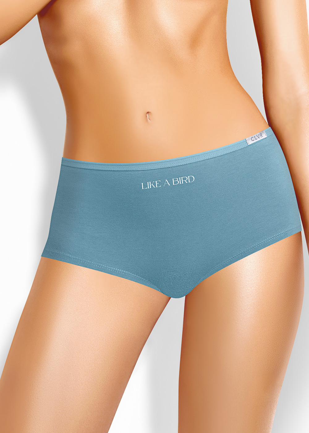 Трусы жен (АРТ. SH14-300)