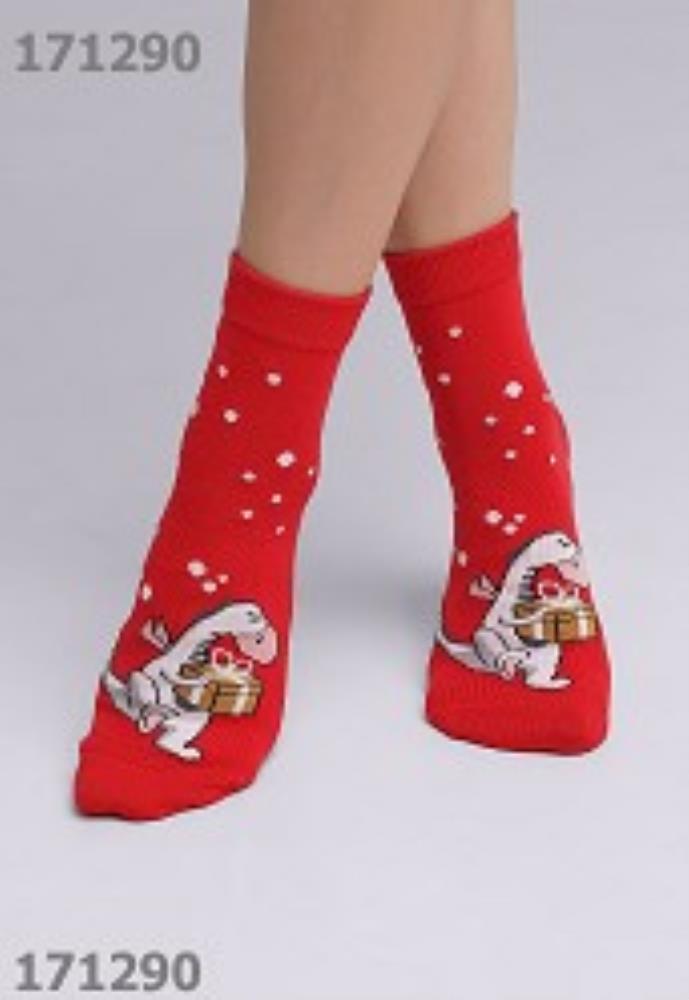 Носки жен (АРТ. Д2366)