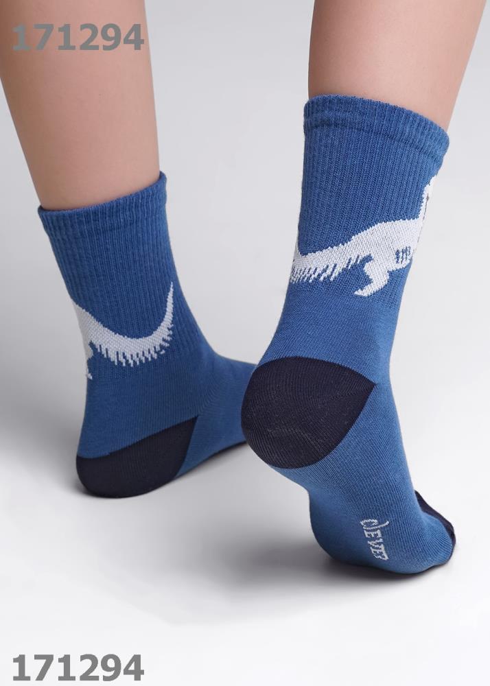 Носки дет (АРТ. С4319)