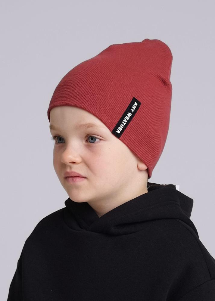 Шапка дет (АРТ. 436306ш)