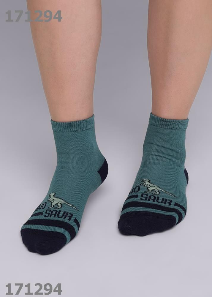 Носки дет (АРТ. С4316)