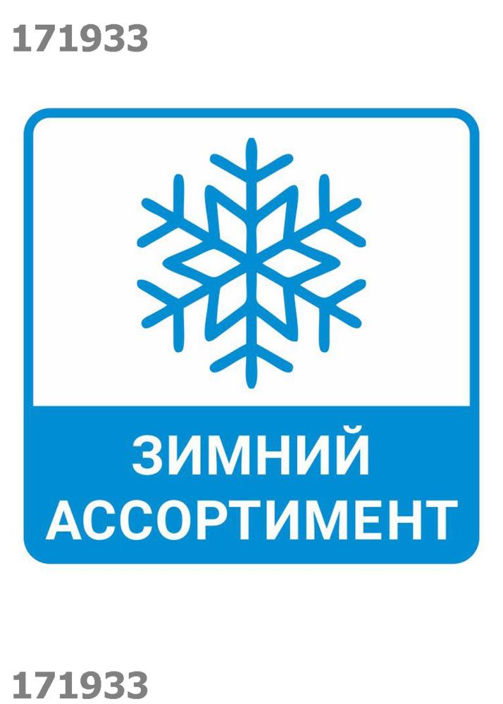 Носки жен (АРТ. Д2341П)