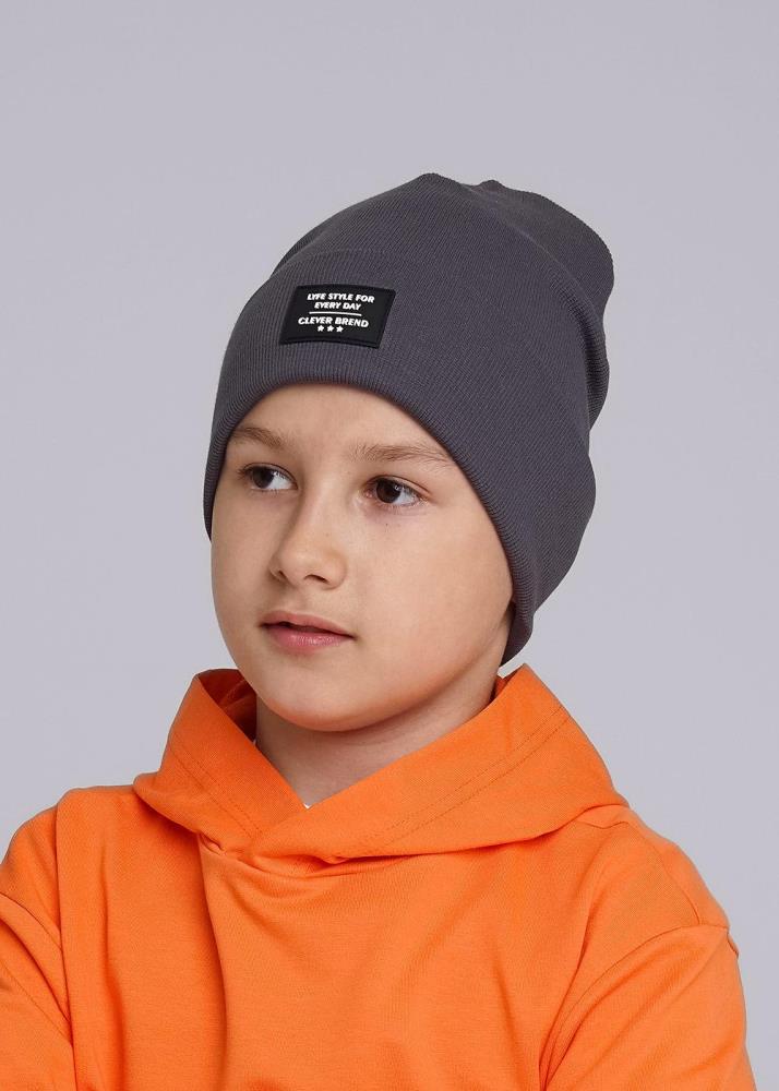 Шапка дет (АРТ. 436298ш)