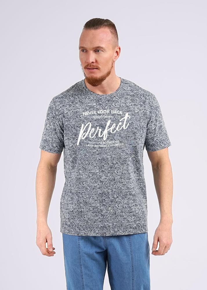 Футболка муж (АРТ. 540309/09гн_п)