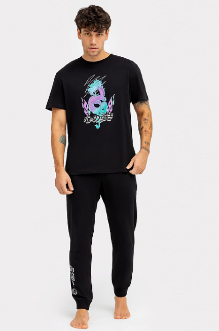 Комплект муж (футболка+брюки) (АРТ. 591043)