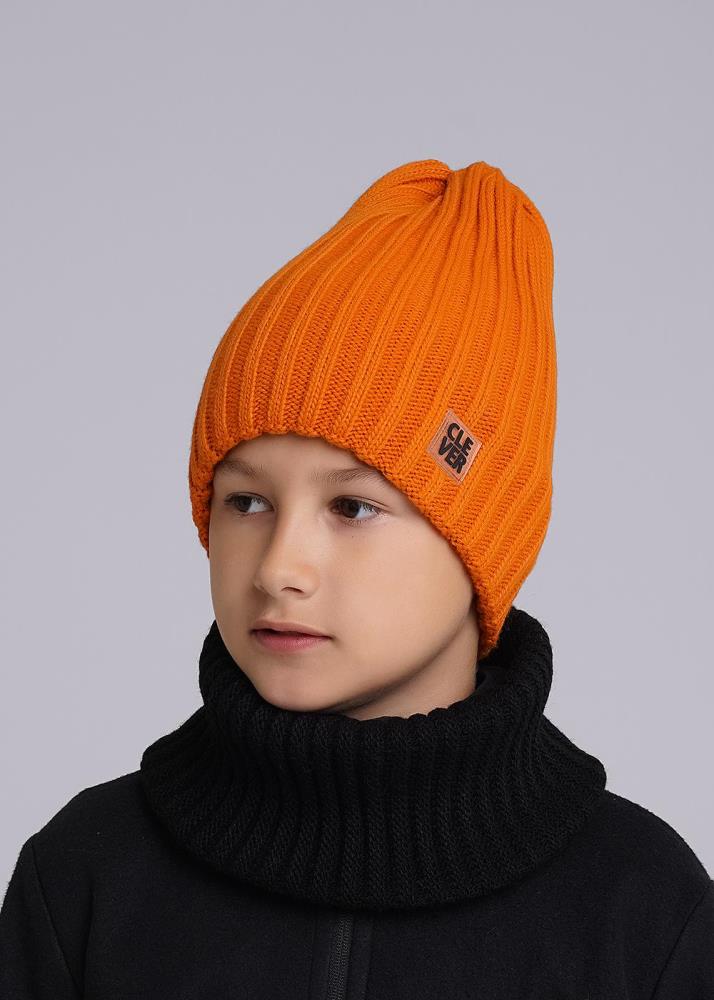 Шапка дет Clever (АРТ. 433814ап)