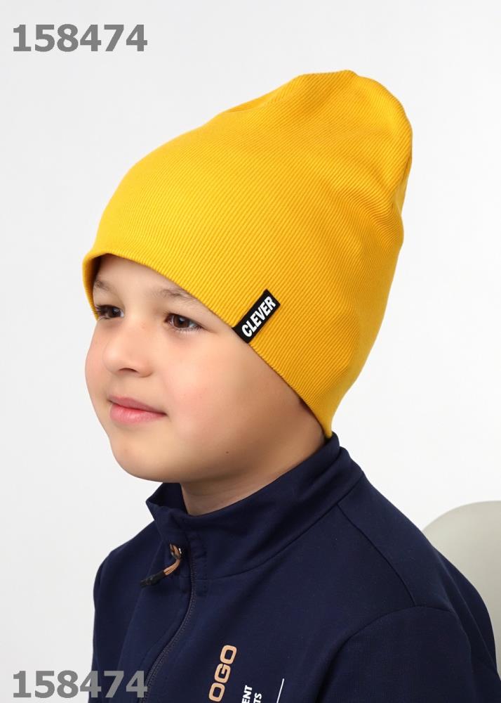Шапка дет Clever (АРТ. 425709ш)