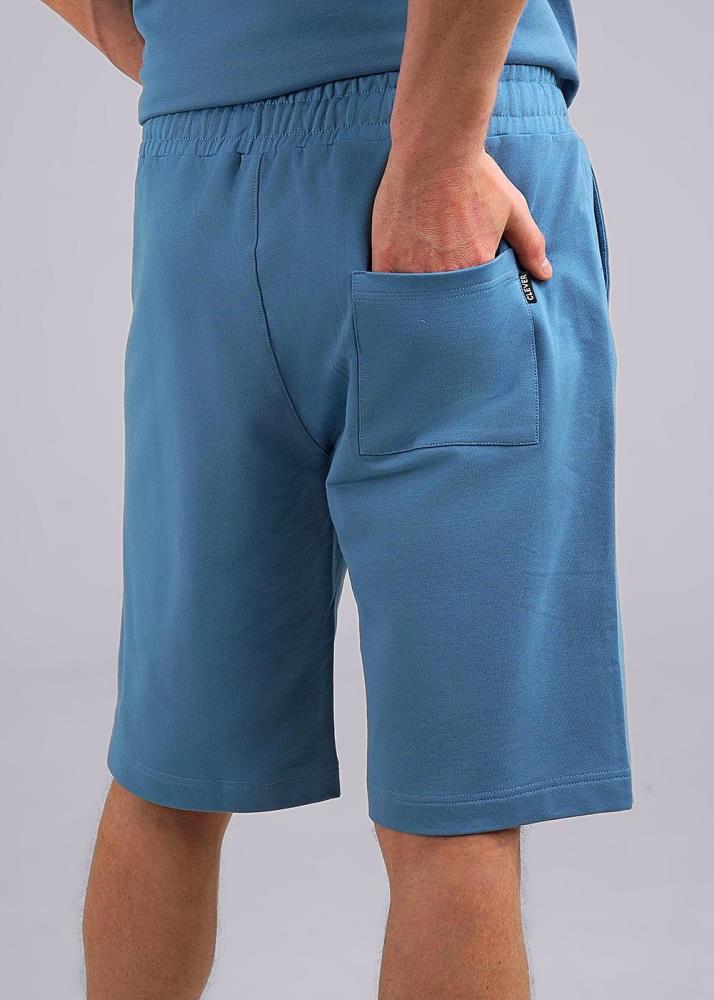 Шорты муж (АРТ. 542049/06у)