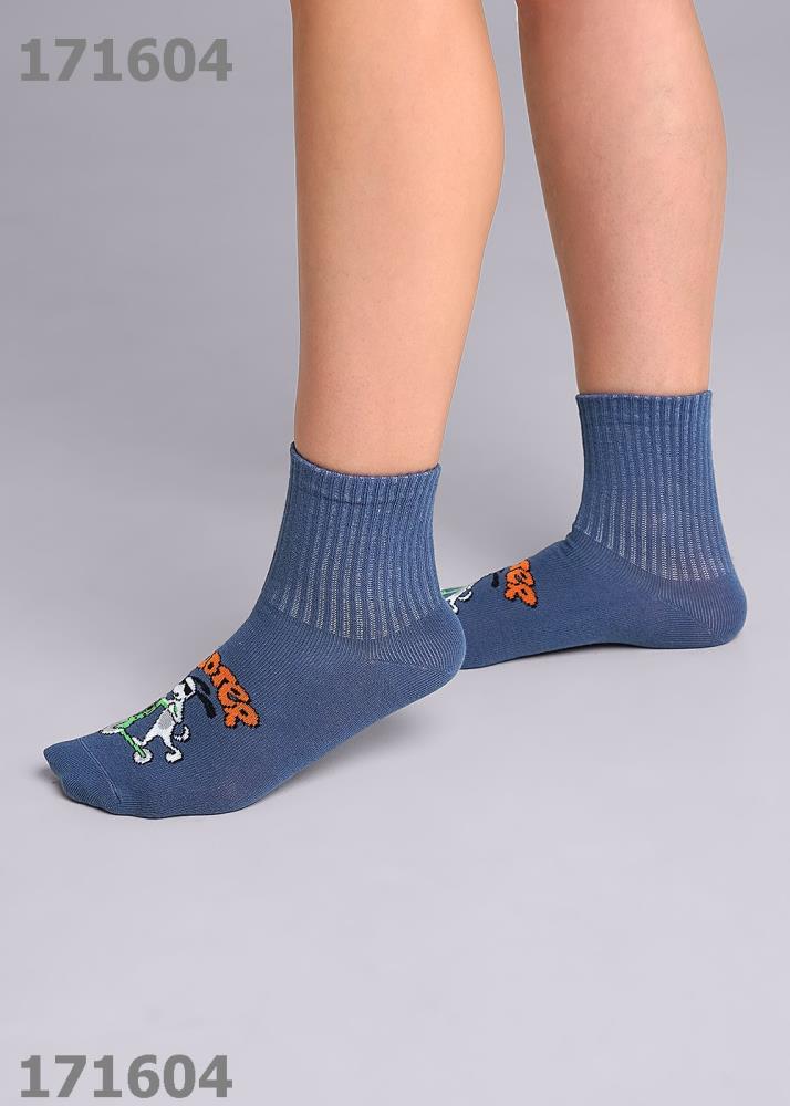 Носки дет  Clever (АРТ. С4334)