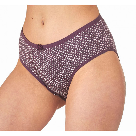 Трусы жен (АРТ. 9515)