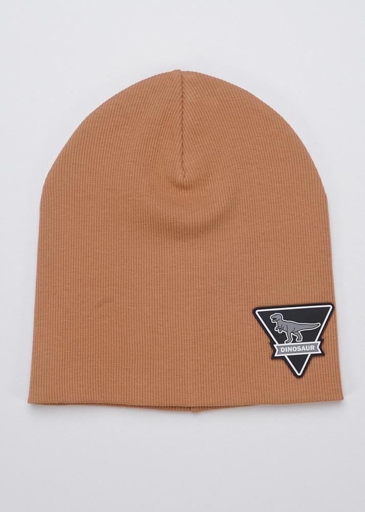 Шапка дет (АРТ. 436302ш)