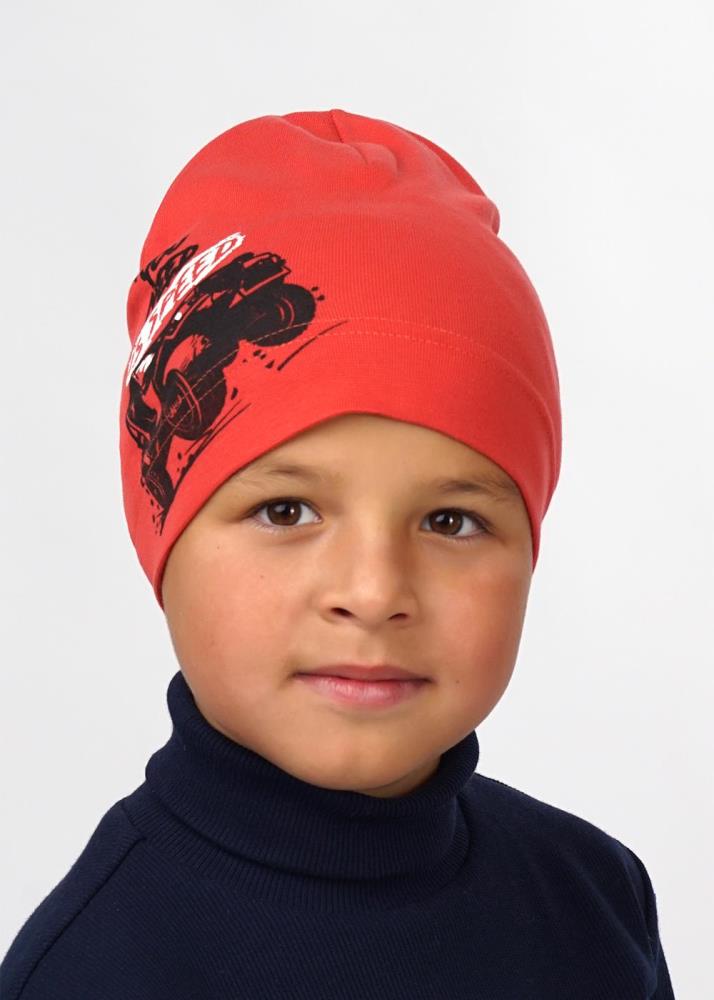 Шапка дет (АРТ. 536027рп)