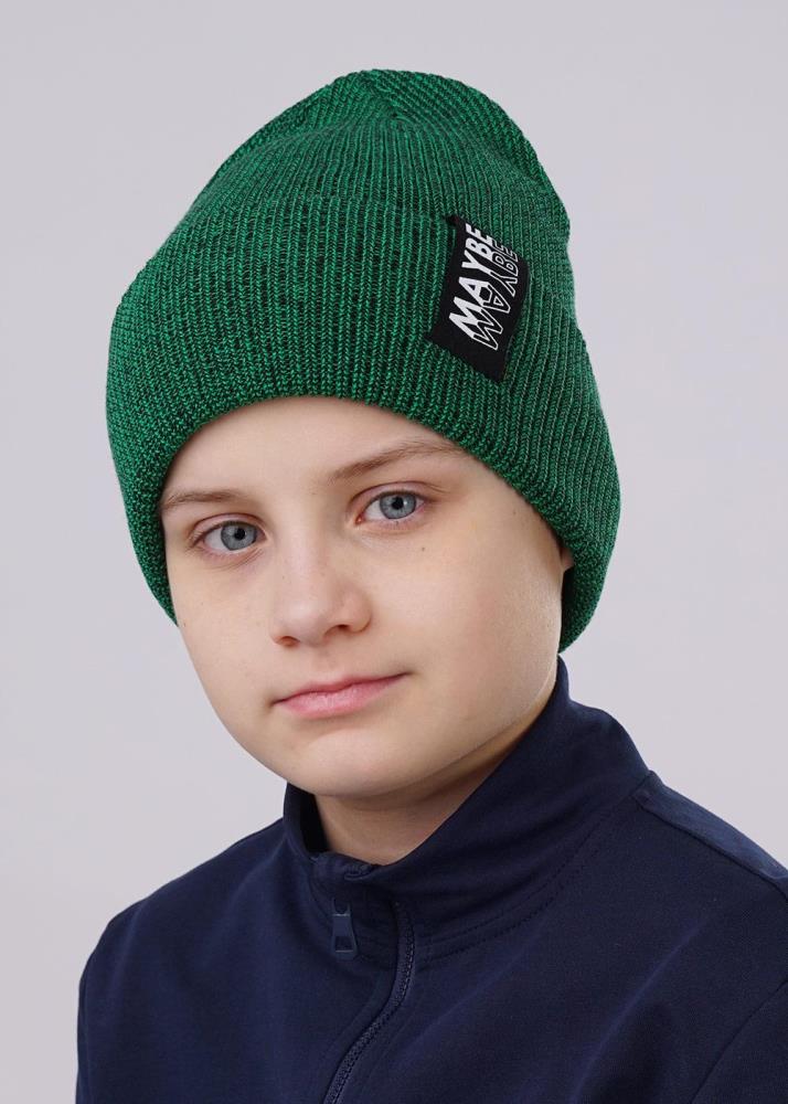 Шапка дет Clever (АРТ. 523440ха)