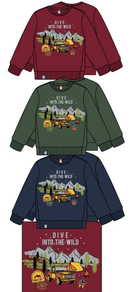 Джемпер модель "свитшот" мал (АРТ. CWKB 62870)