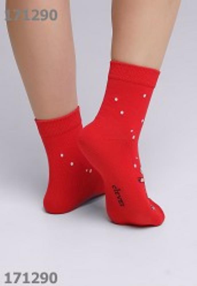 Носки жен (АРТ. Д2367)