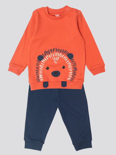 Комплект яс (джемпер, брюки) (АРТ. CWBB 90278)