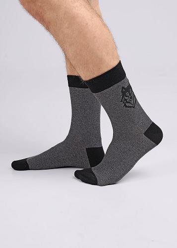 Носки муж (АРТ. К3419)