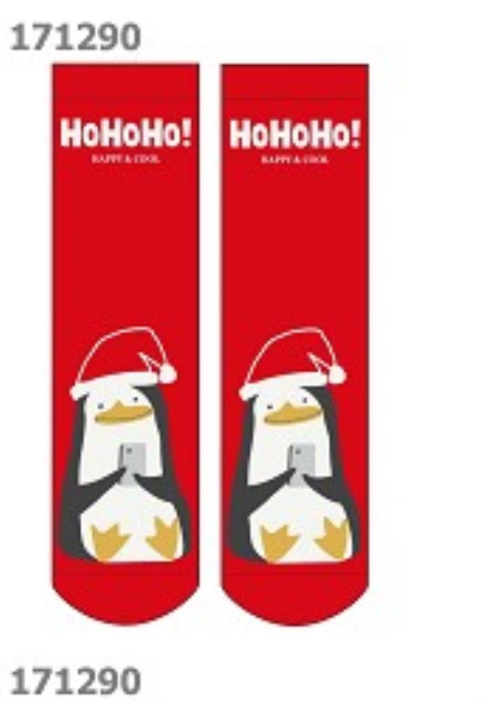 Носки жен (АРТ. Д2351П)