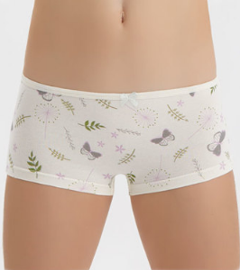 Трусы дев (АРТ. 5302)