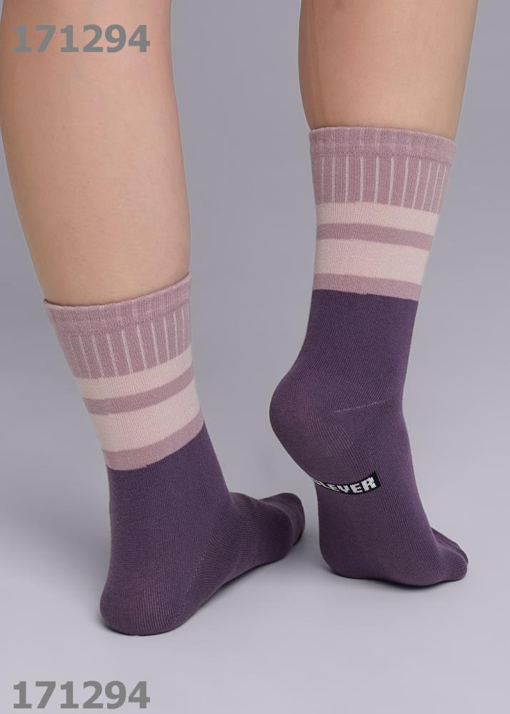 Носки жен (АРТ. Д2300)
