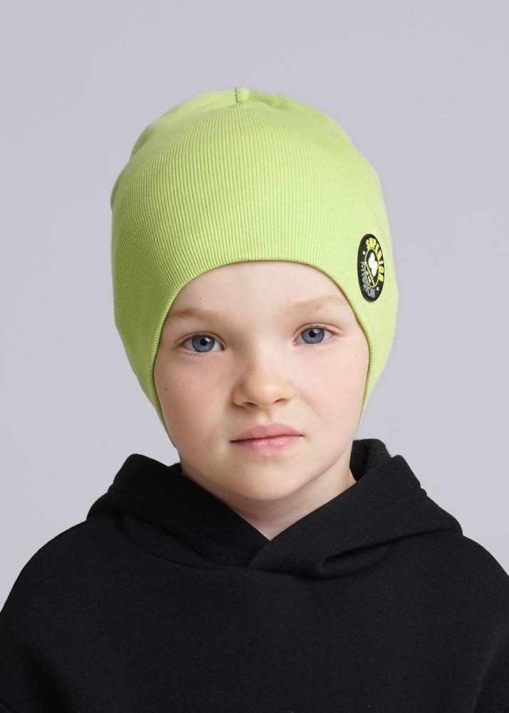 Шапка дет (АРТ. 436301ш)
