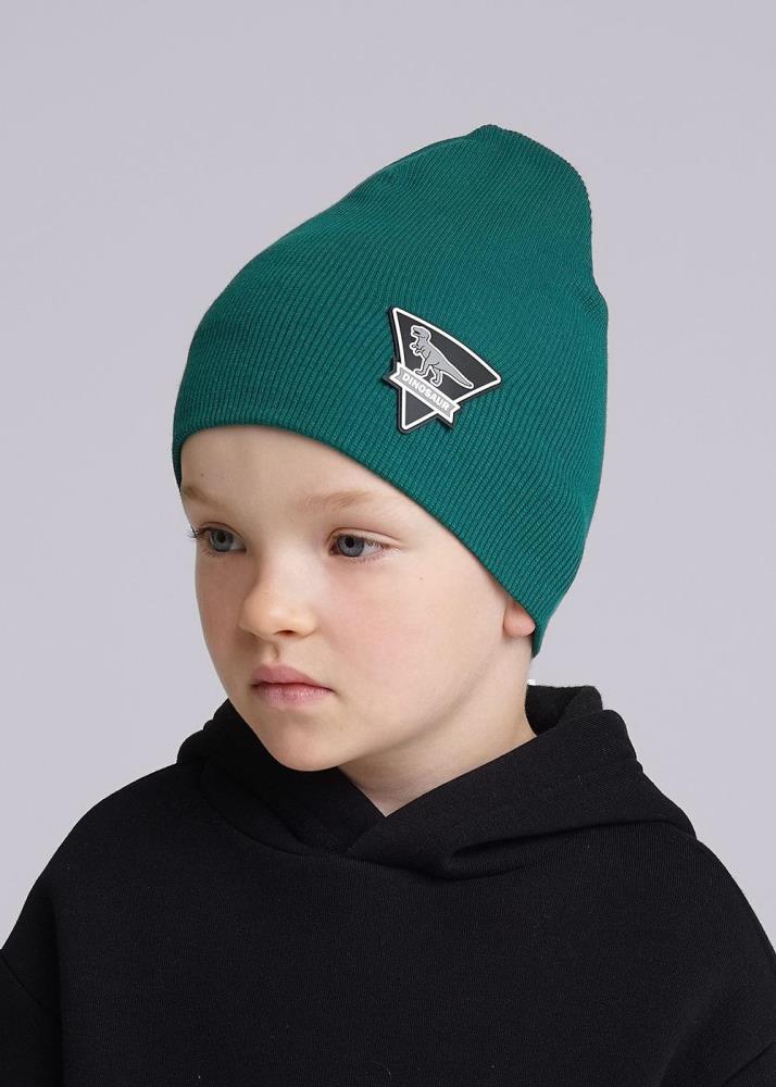 Шапка дет (АРТ. 436302ш)