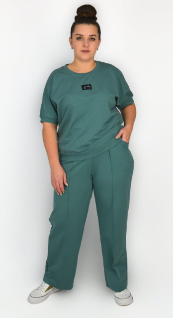 Брюки жен (АРТ. С1417)