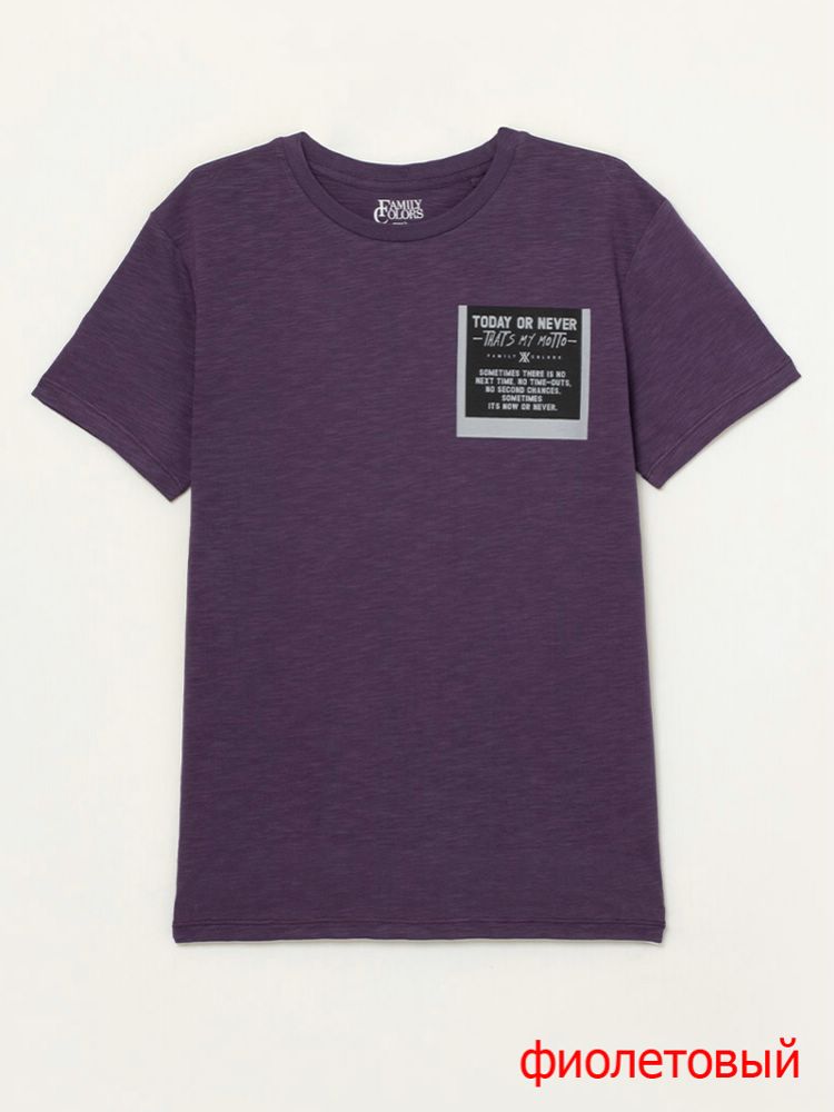 Футболка муж (АРТ. FSMM 60118)