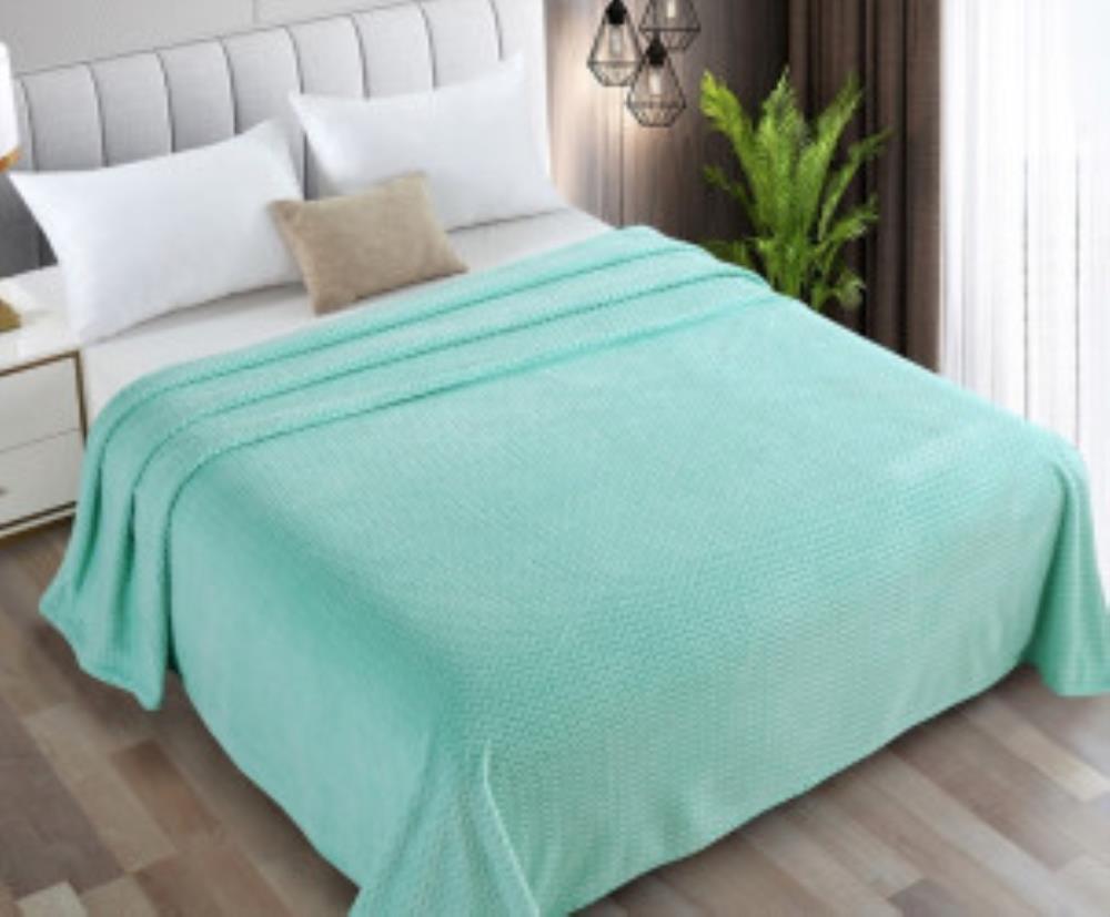 Покрывало 2  велсофт (АРТ. ФС-579V)