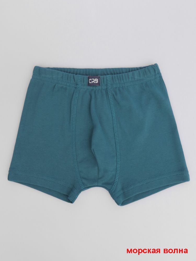 Трусы-боксеры  мал (АРТ. CWMB 10137)