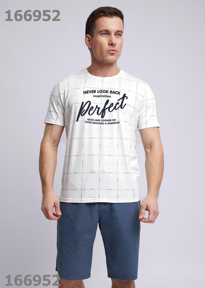 Джемпер муж Clever (АРТ. 531842/06гн_п)