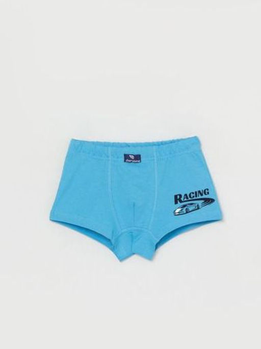 Трусы-боксеры мал (АРТ. CWKB 10067)