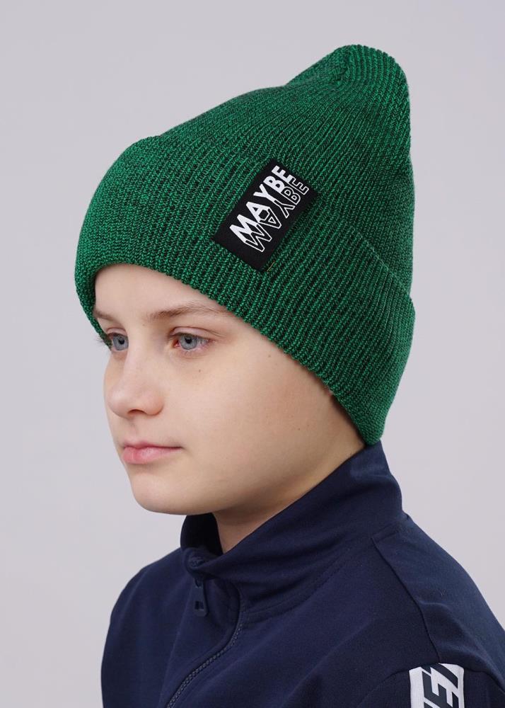 Шапка дет Clever (АРТ. 523440ха)