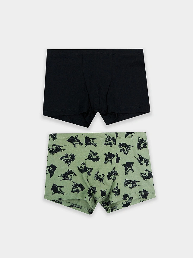 Трусы мал (2 шт.)  (АРТ. 413344-2)