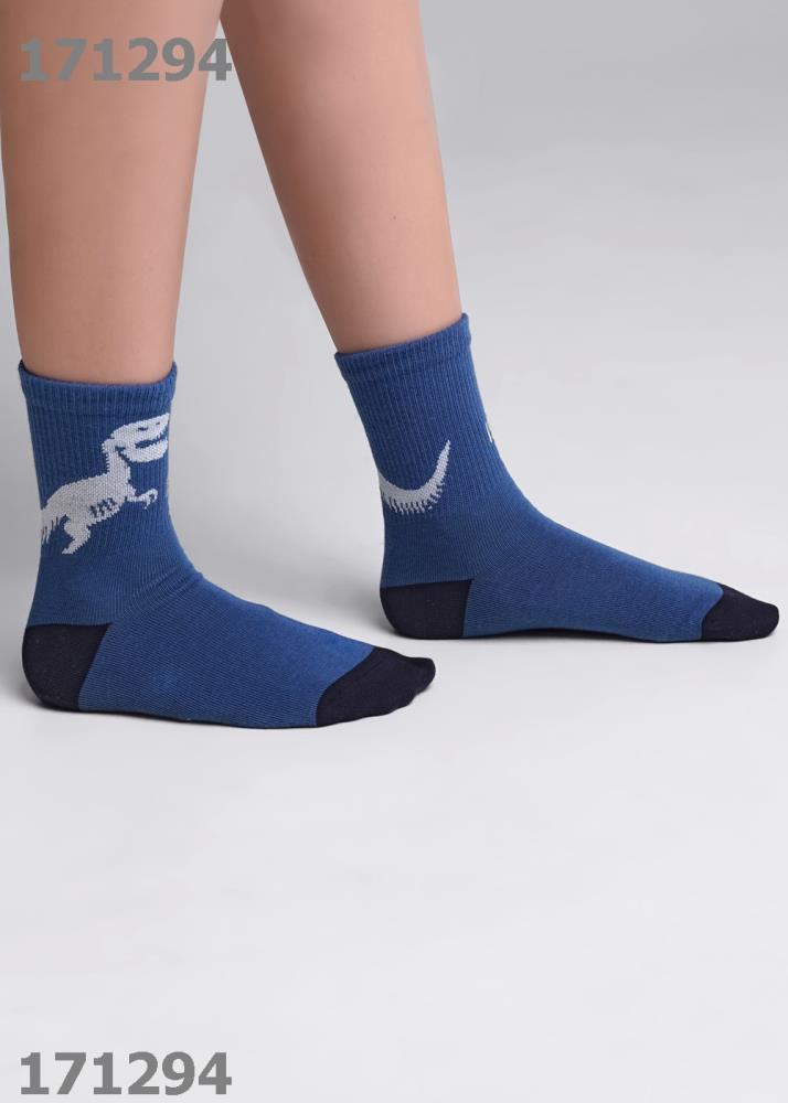 Носки дет (АРТ. С4319)