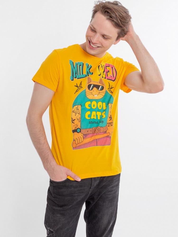 Джемпер муж   (арт.5-1633,16-176-0) (АРТ. 111633)