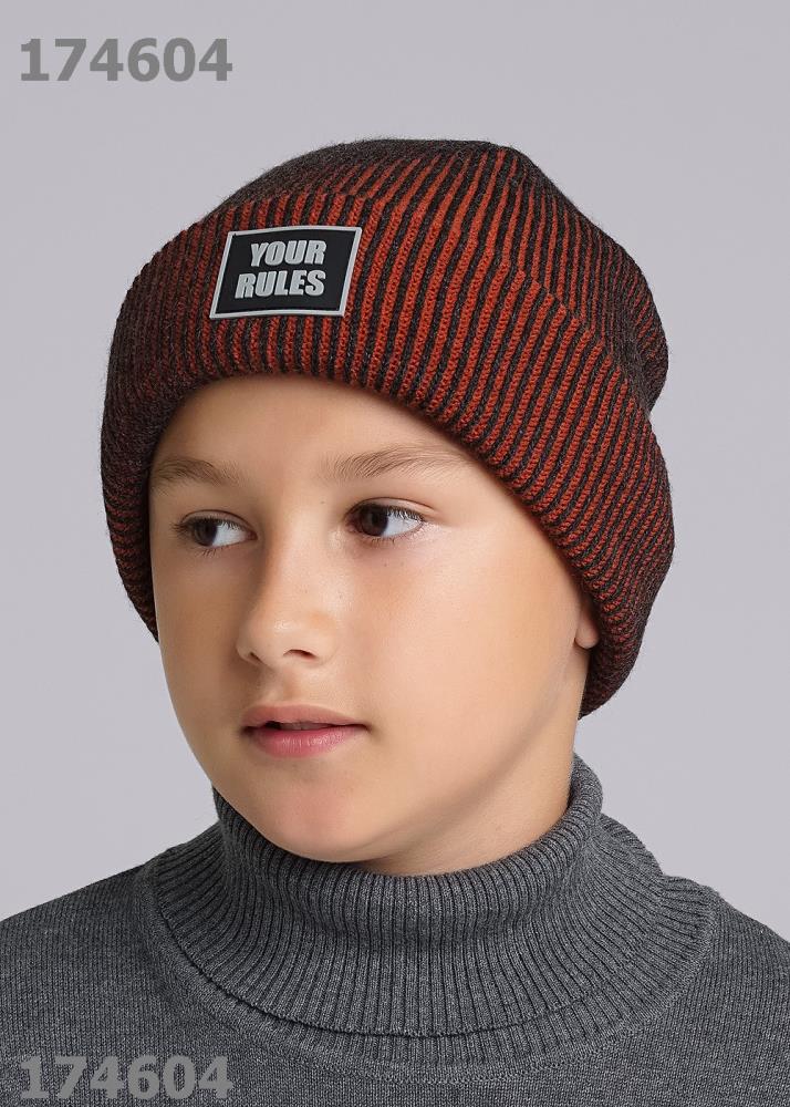 Шапка дет (АРТ. 433899аш)