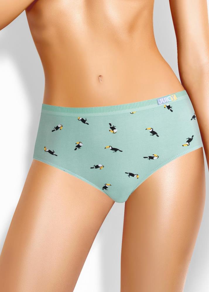 Трусы жен Clever (АРТ. C955/5)