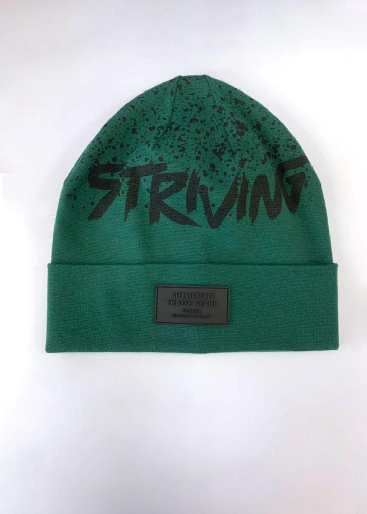 Шапка дет Clever (АРТ. 535713рп)