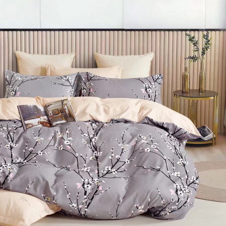 КПБ 2-х сп поплин (АРТ. П-2724)