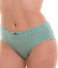 Трусы жен (АРТ. 4192)