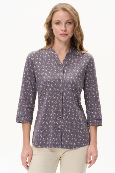 Блузка жен   (АРТ. K2452-F95.6S04)