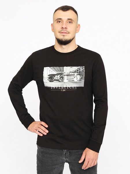 Джемпер муж (АРТ. FWMM 60200)