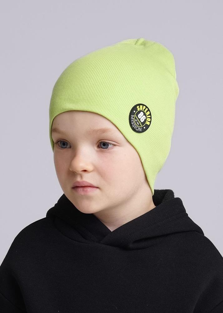 Шапка дет (АРТ. 436301ш)