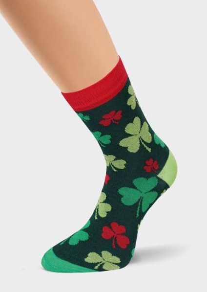 Носки жен  Clever (АРТ. Д738)