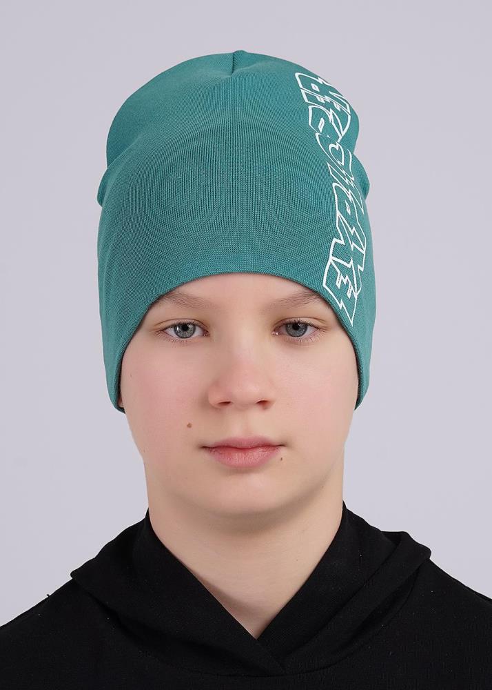 Шапка дет (АРТ. 546026рп)