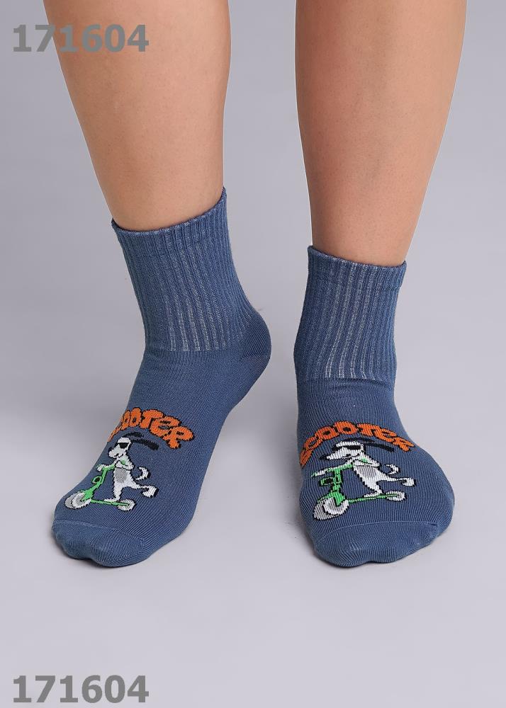 Носки дет  Clever (АРТ. С4334)