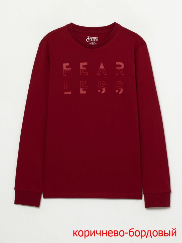 Джемпер муж  Family Colors (АРТ. FWSM 60065)