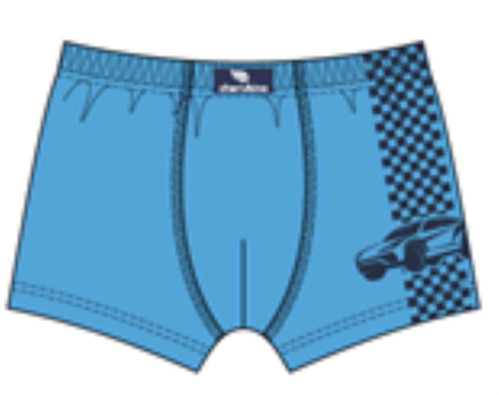 Трусы-боксеры мал (АРТ. CWKB 10071)